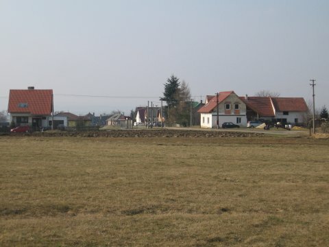 image-02.jpg
