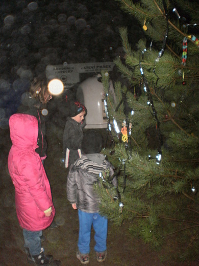 image-03.jpg