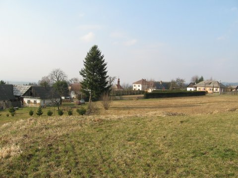 image-03.jpg