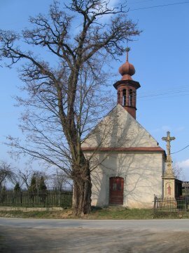 image-04.jpg