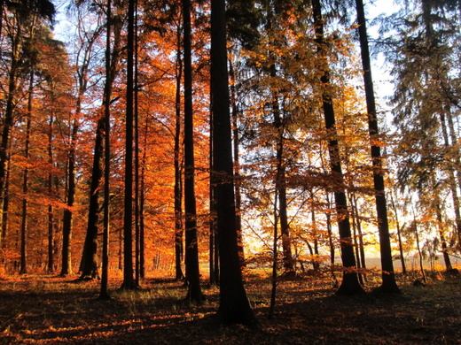 image-04.jpg