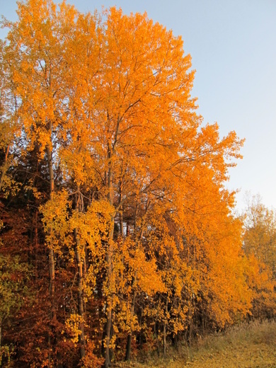 image-05.jpg
