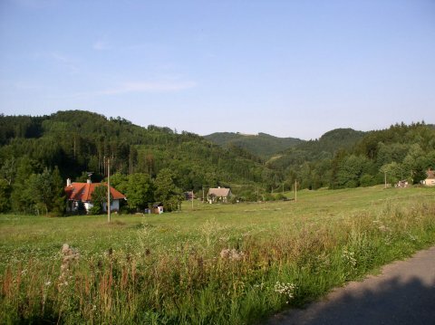 image-05.jpg