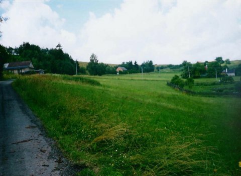image-07.jpg