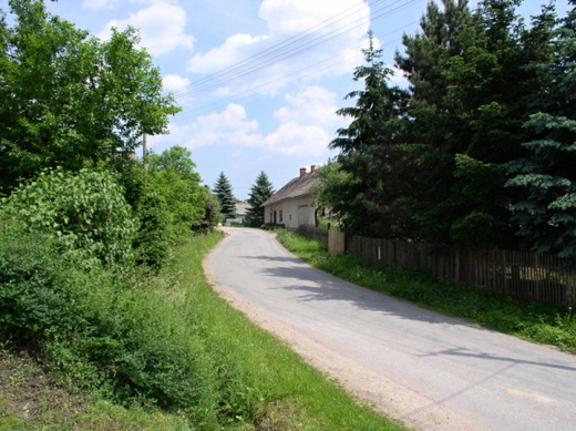 image-12.jpg