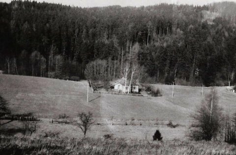 image-3.jpg