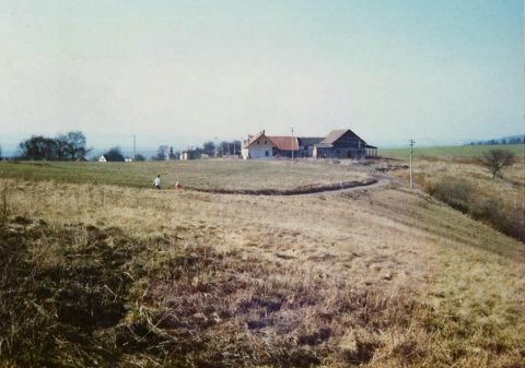image-5.jpg